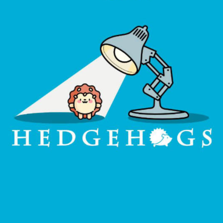 hedgehog shirt